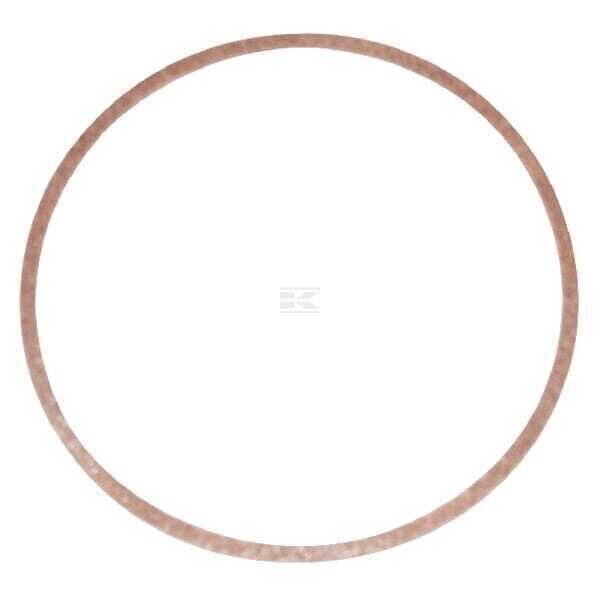 Gasket for Carburetor Bowl (4169) - 270511 - Briggs & Stratton