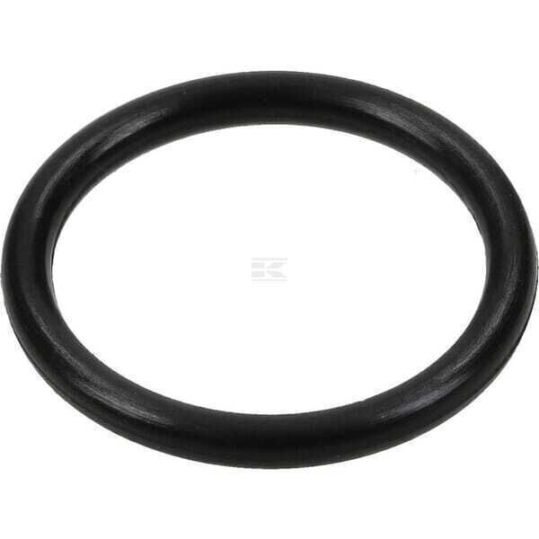 O-ring - 692019 - Briggs & Stratton