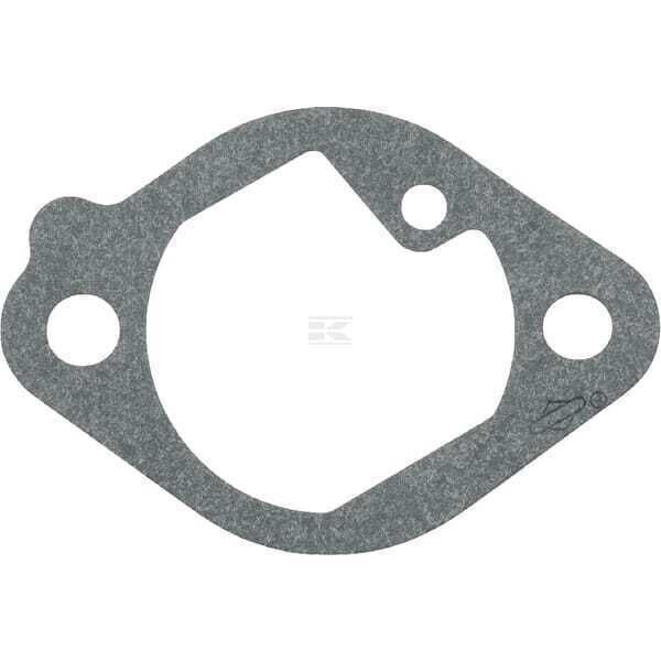 Intake Gasket - 699800 - Briggs & Stratton