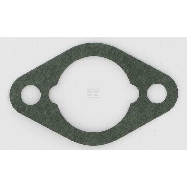 Gasket - 710060WM - Briggs & Stratton