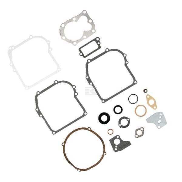 Engine Seal Kit - 795971 - Briggs & Stratton