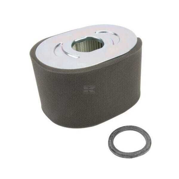 Air Cleaner Filter - 799818 - Briggs & Stratton