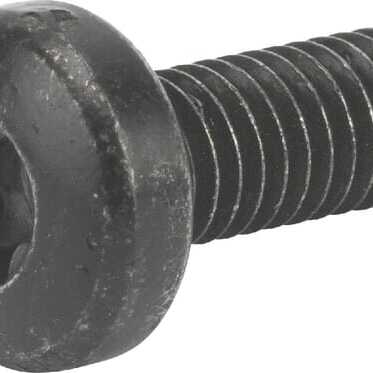 Castelgarden Bolts OE - 1127278070 - Screw TCB torx M6x16