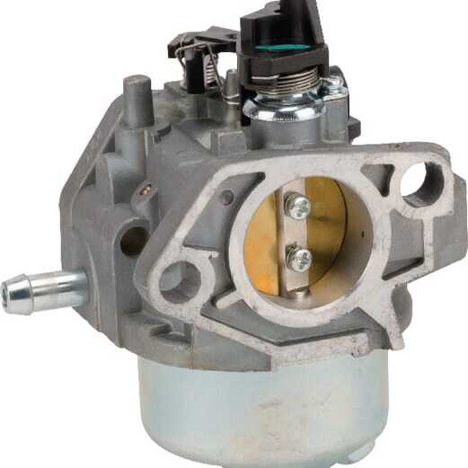 Castelgarden Carburettor - 1185504351 - Carburettor