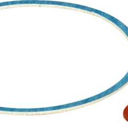 Honda Carburettor bowl gasket - 16010Z9L811 - Gasket set