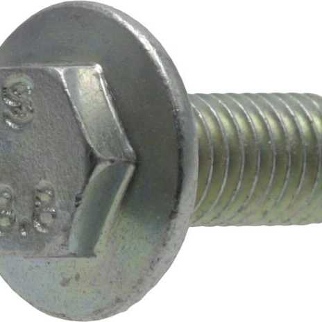 Snapper Bolts OE - 1739622YP - Screw