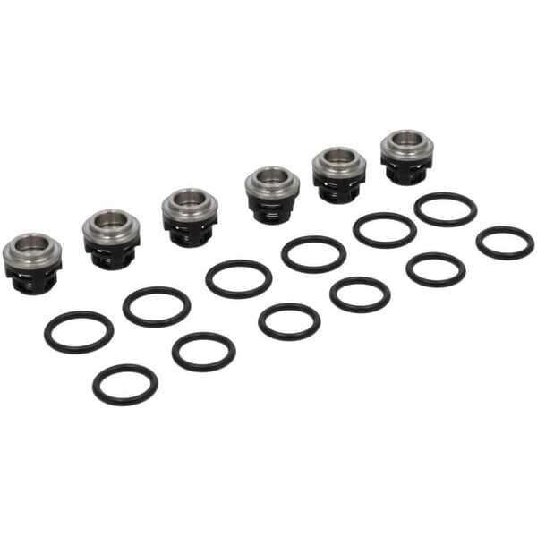 BS Briggs & Stratton OE - 193955GS - Check valve kit