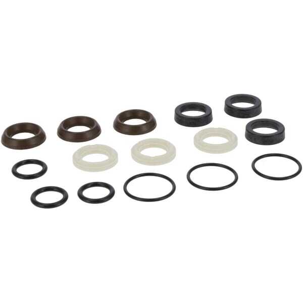 BS Water pump gasket Briggs & Stratton - 198845GS - Water seal kit