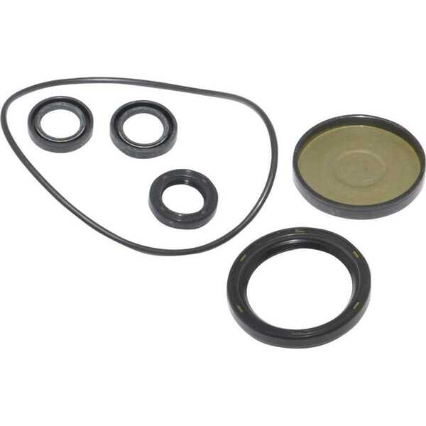 BS Gasket sets Briggs & Stratton - 202B2126GS - Kit-Oil Seal
