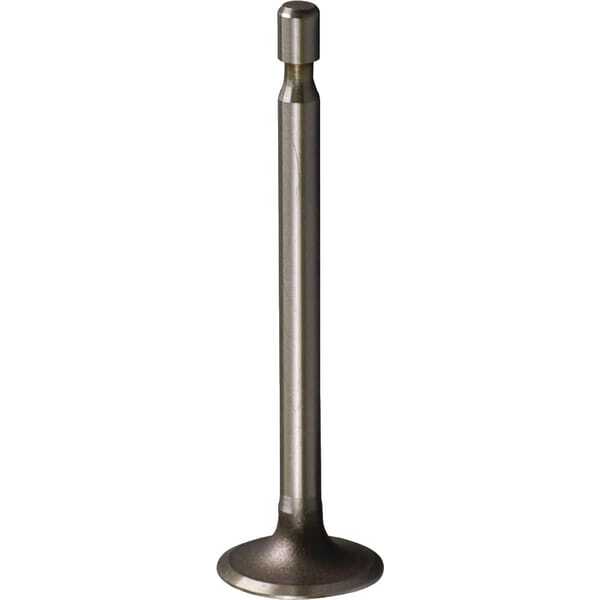 BS ValvesBriggs & Stratton - 261055S - Intake valve