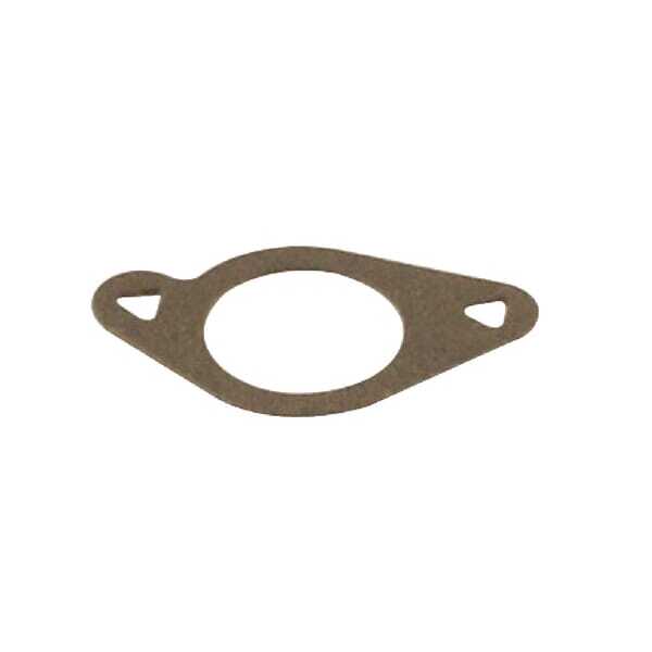 BS Intake gasket Briggs & Stratton - 272199S - Intake gasket