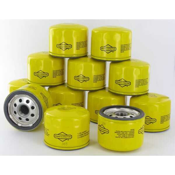 BS Oil filters Briggs & Stratton - 4206WM - Oil filter 12 x 696854