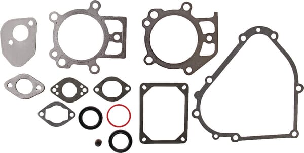 Briggs & Stratton Gasket sets - 695438 - Gasket set