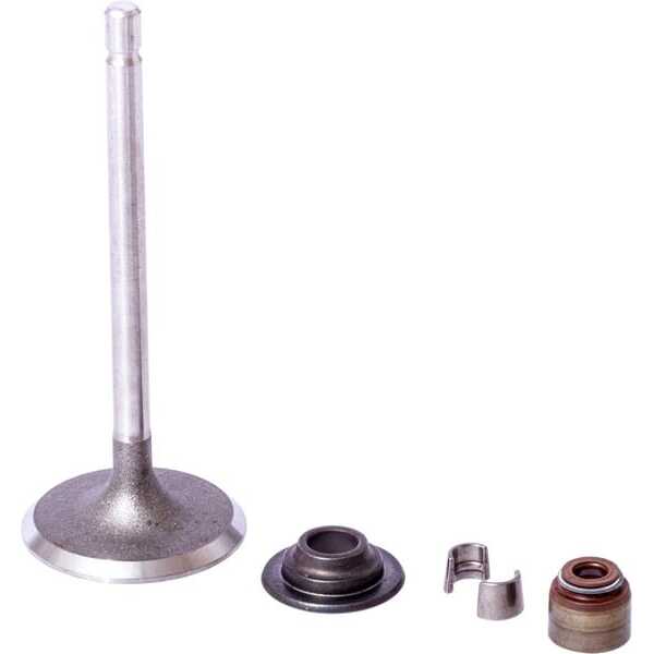 BS ValvesBriggs & Stratton - 843730 - Intake valve