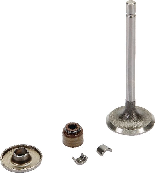 Briggs & Stratton Valves - 843751 - Intake valve