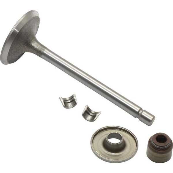 BS ValvesBriggs & Stratton - 845712 - Intake valve