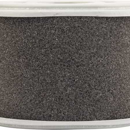 Honda Air filters - C10015 - Air filter