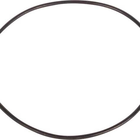 John Deere Carraro O-rings - CI028528 - O-ring