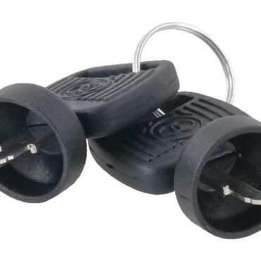 AL-KO Ignition keysoverviewOE - ET29534 - Keys (2 pieces)