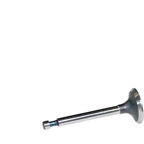 BS ValvesBriggs & Stratton - FGP014354 - Intake valve suitable for B&S 262247S